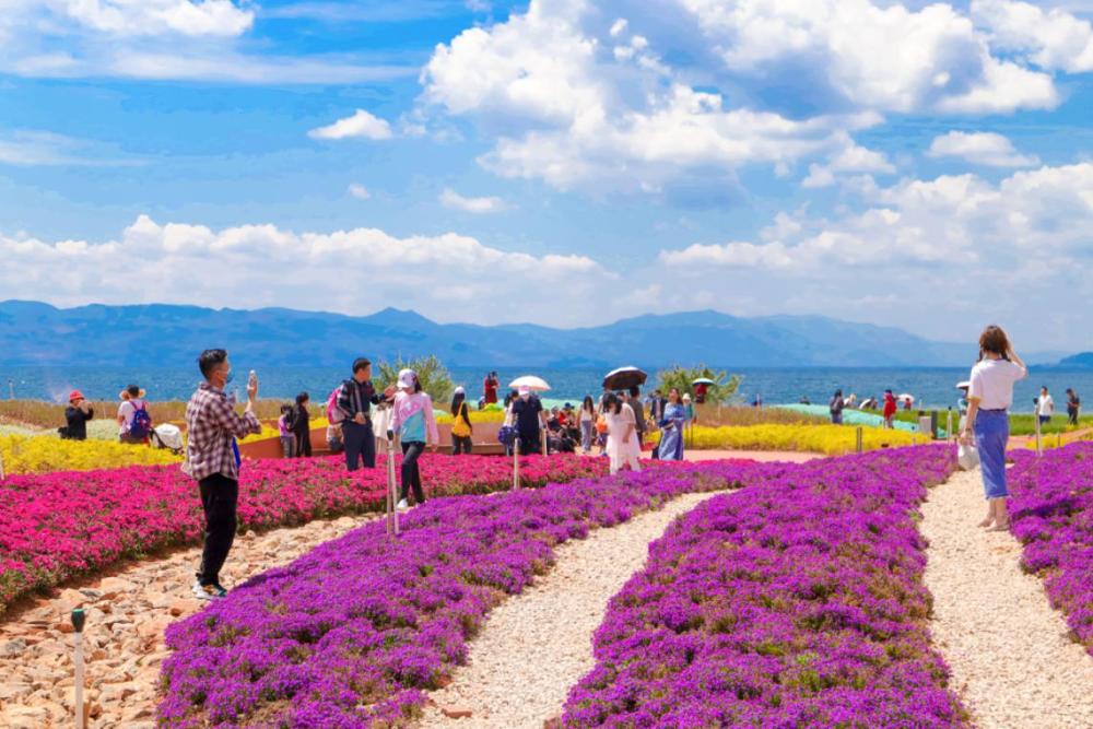 6000多名广龙人回归抚仙湖边这个小镇又热闹起来了