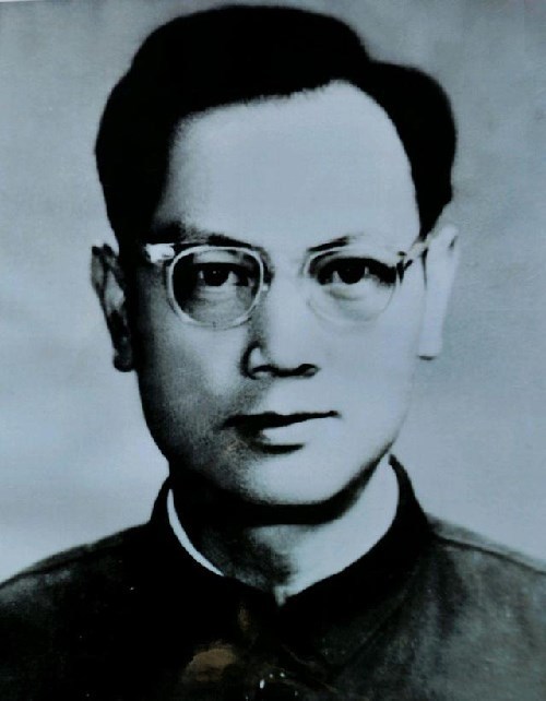 1993年中科院院士陈彪在南京开会路上突然失踪至今仍踪迹难寻