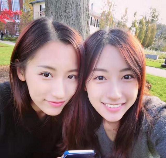 当年那对中国最美双胞胎如今并没有让大家失望双双考上哈佛
