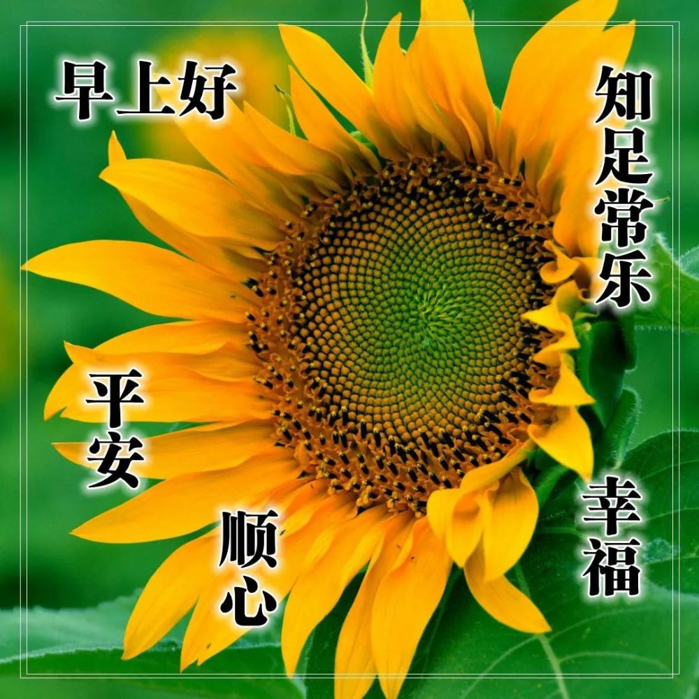 美丽早上清晨图片朋友圈早安心语正能量