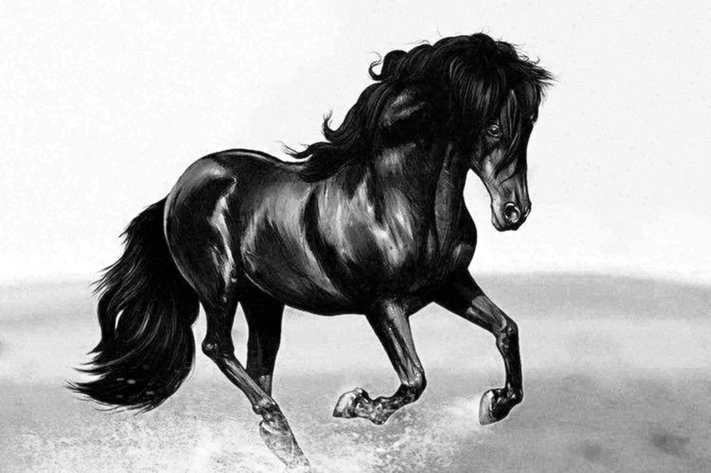 刚开始青鬃马的成绩并不怎样,但在伯乐的训练下,终有一日突破了日行