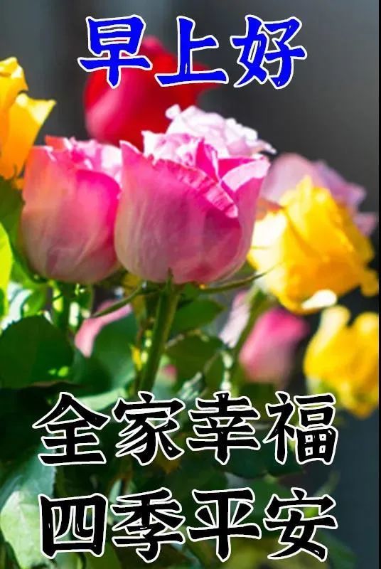 1月27日周三早安问候语祝大家天天开心