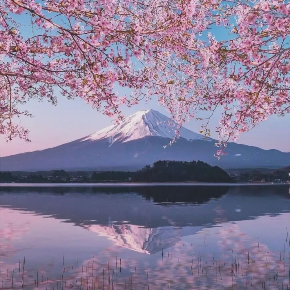 背景图 富士山下 腾讯新闻