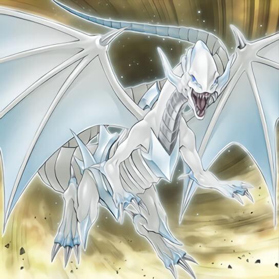 游戏王卡组真正的国际巨星火出圈的青眼白龙卡组