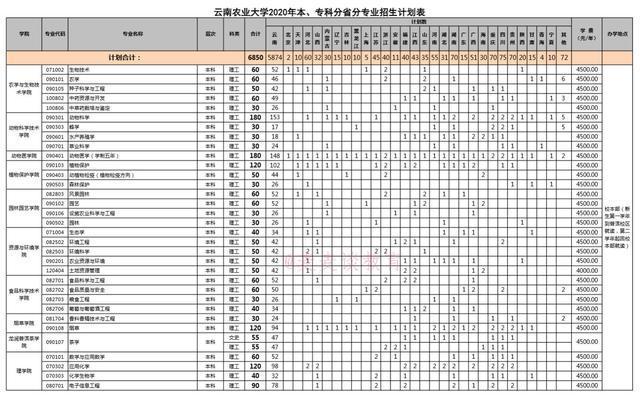 2020高考分数线全国_2020全国各地大学录取分数线汇总发布_高考网