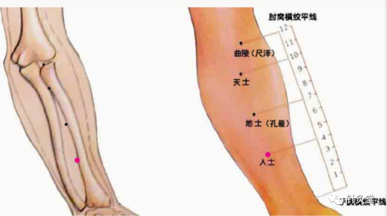 董氏奇穴:人士穴【穴位講解】