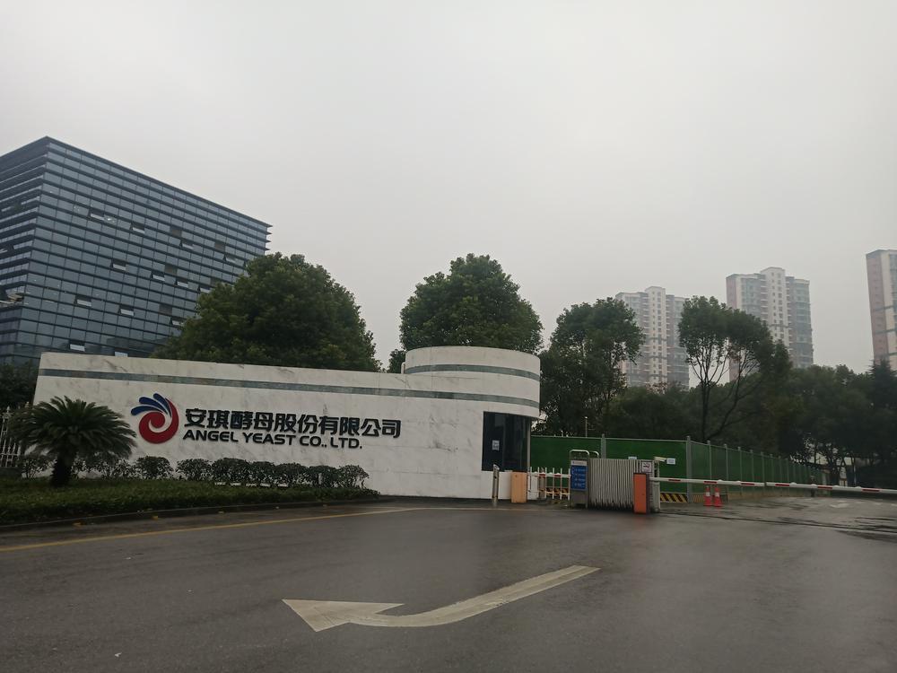 节前调研国内外市场需求旺盛安琪酵母加人补货春节不停产