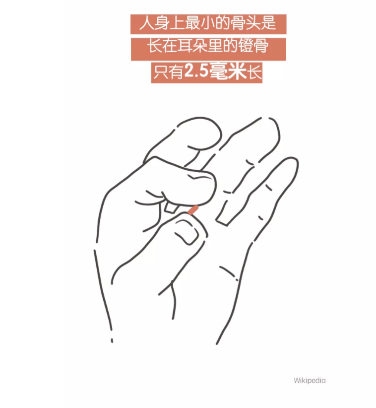 发明|眼皮乱跳，真正代表的其实是……