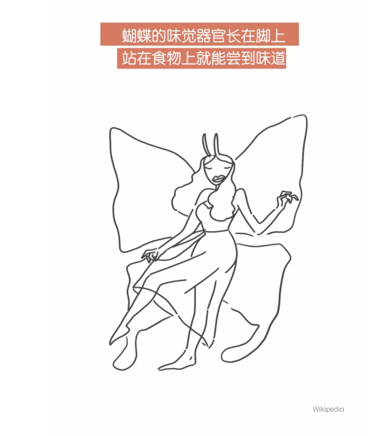 发明|眼皮乱跳，真正代表的其实是……