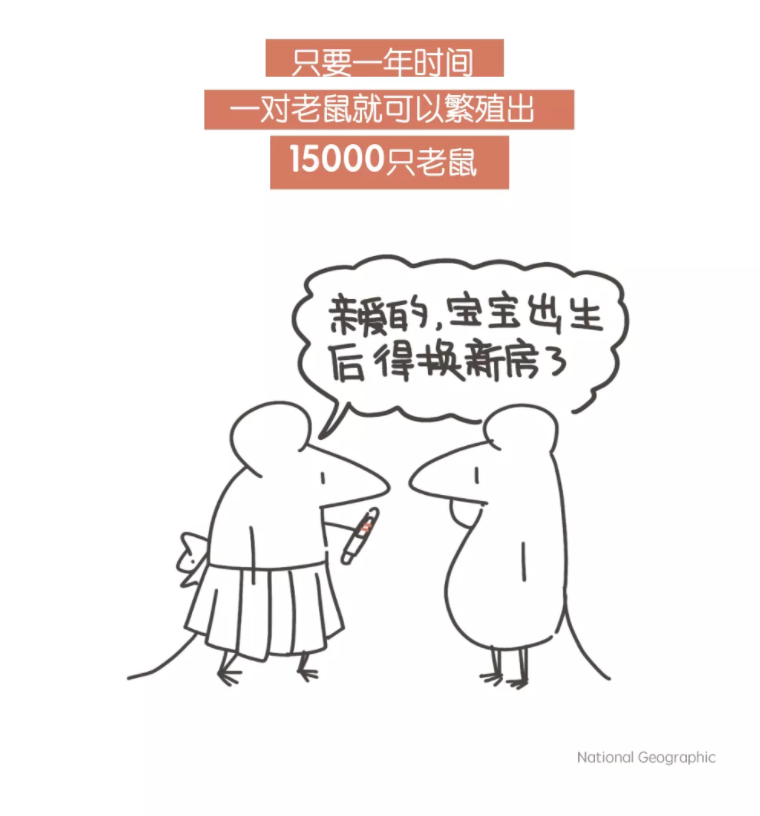 发明|眼皮乱跳，真正代表的其实是……