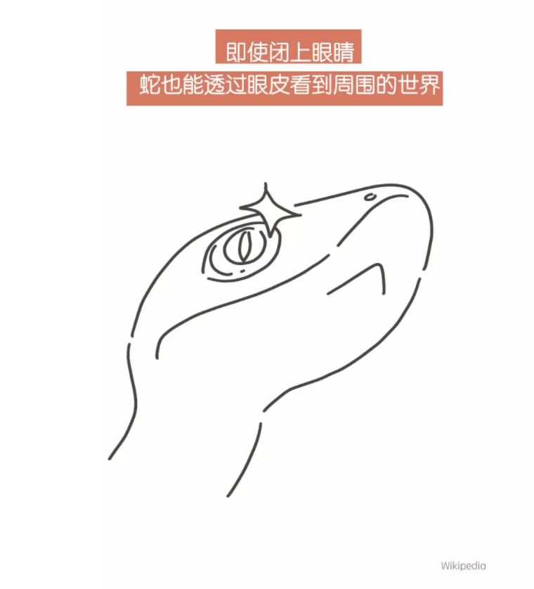 发明|眼皮乱跳，真正代表的其实是……