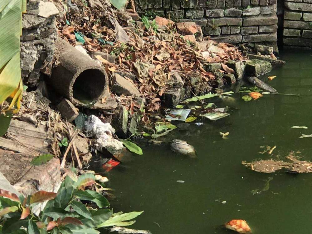 "记者沿着臭水塘采访了几位村民,大家都怨声载道.