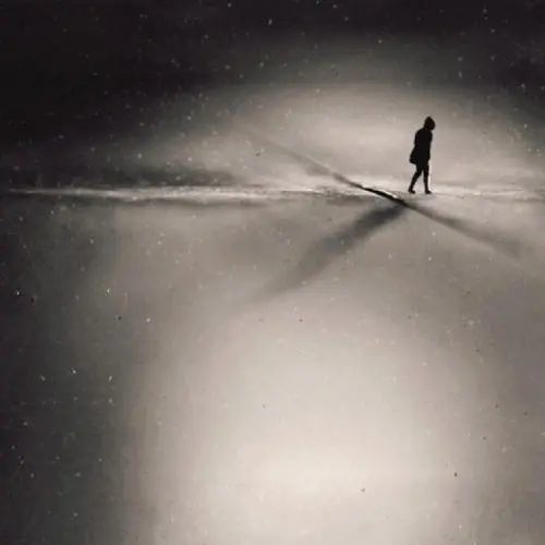 圈中逃离的人,也和刚刚从家暴中逃出来的人一样,有一种巨大的失落感