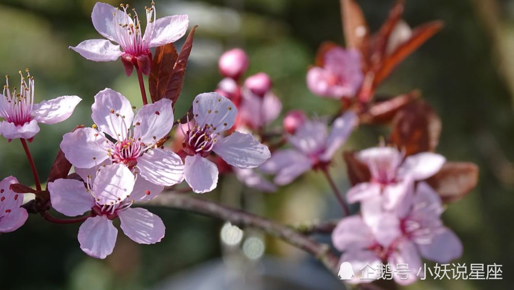 1月28日爱情运势 喜逢良缘 携手相伴的四大星座 腾讯新闻