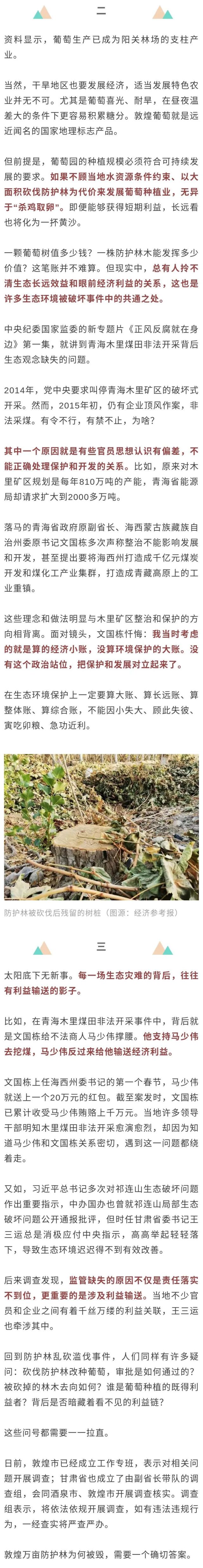 防护林被毁图片