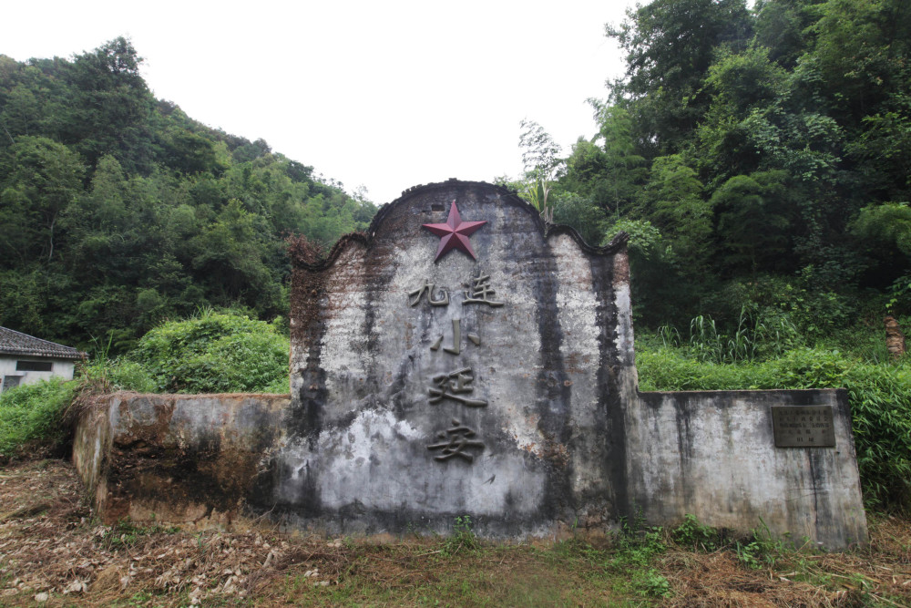 广东土十条为老区苏区民族地区注入乡村振兴资金超70亿