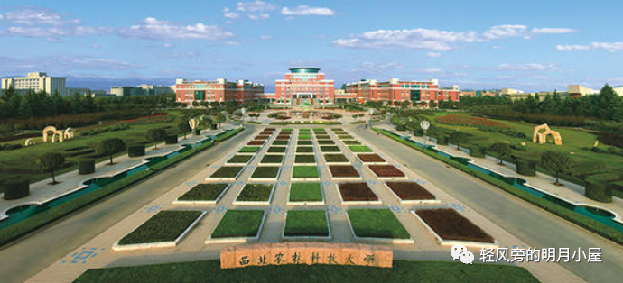 动物医学到底是一个什么样的专业