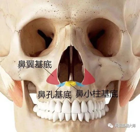 鄭爽的臉不適合高鼻為什麼楊採鈺即使鼻基底凹陷也不差貴氣