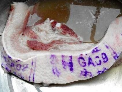 买猪肉时,盖红章的肉和盖蓝章的肉哪种好?老板为你解答,涨知识