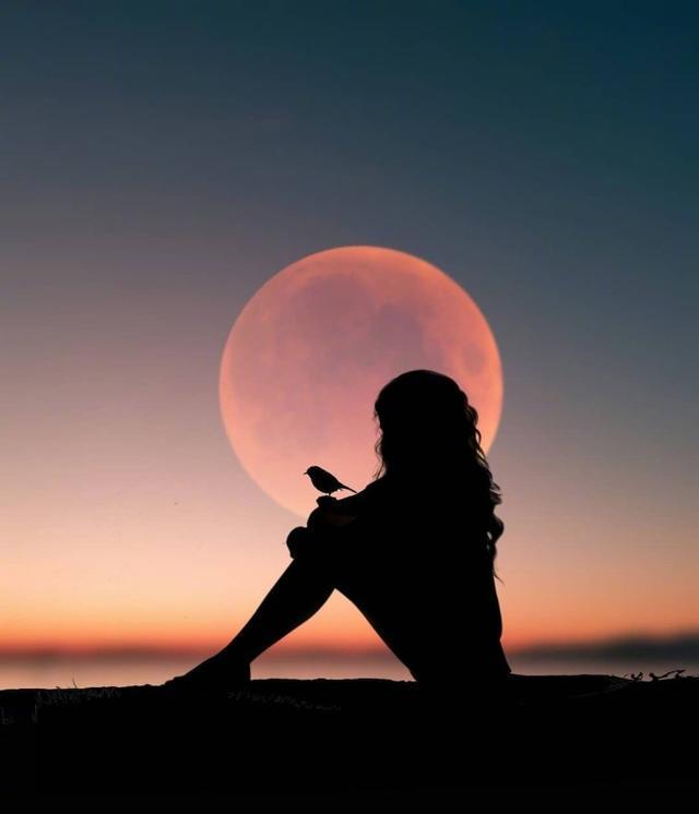 一个人过得很累的句子句句伤感走心