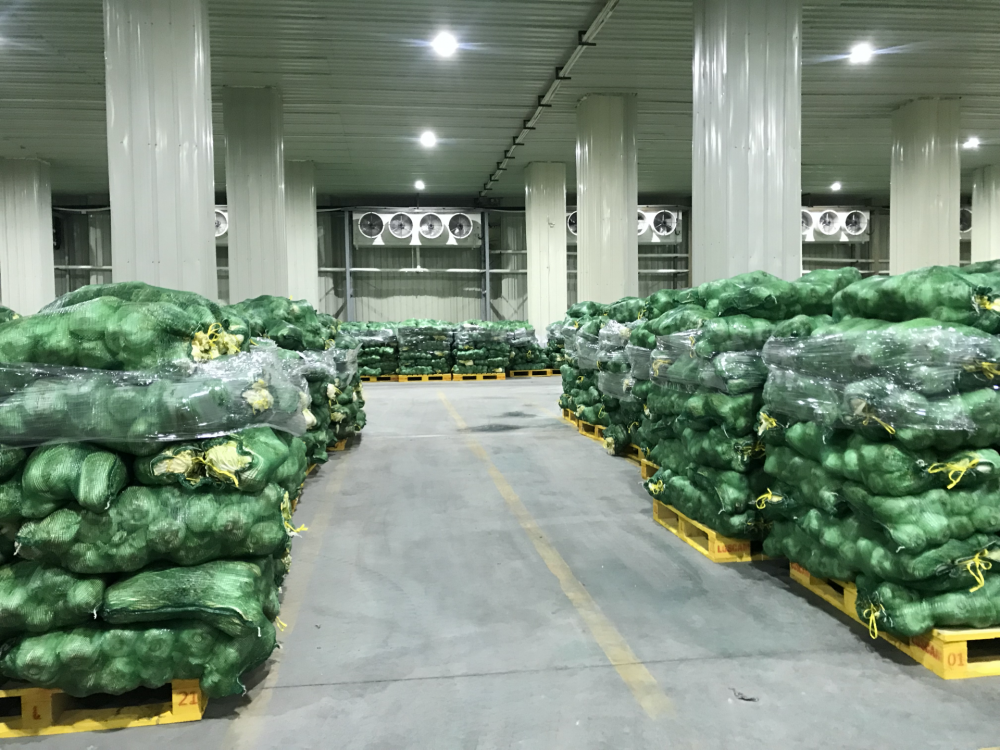 记者探访深圳应急蔬菜储备库:检测合格方可入库,定期轮换确保新鲜安全