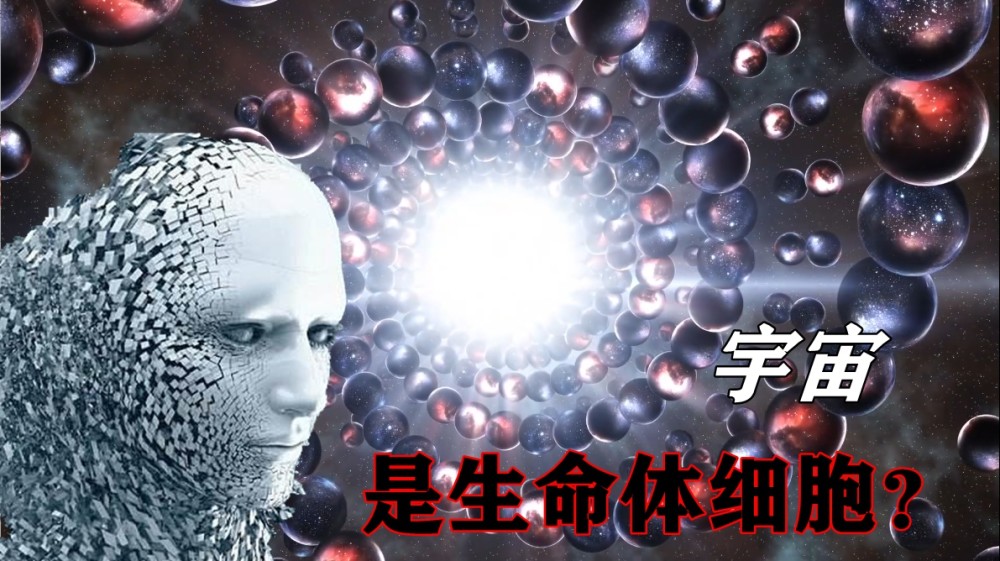 细思极恐:宇宙可能是一个巨大的生命体,而其内部星球等则是细胞