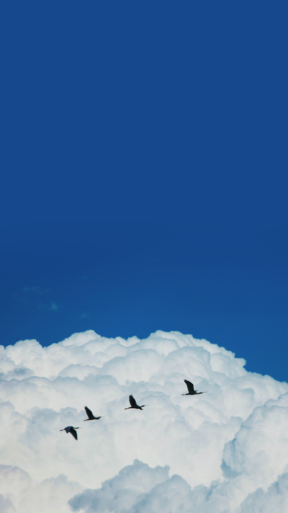 微信更新了新功能状态背景图值得你拥有_腾讯新闻