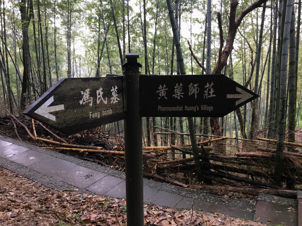 桃花島上有一座活死人墓你知道嗎這是黃藥師獨有的浪漫