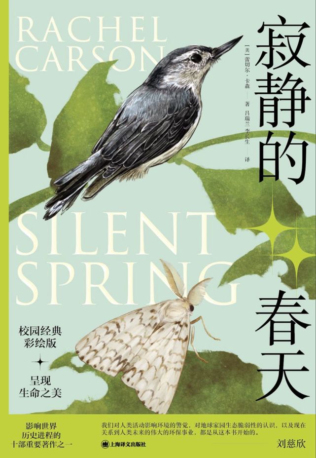 重访寂静的春天宋明炜