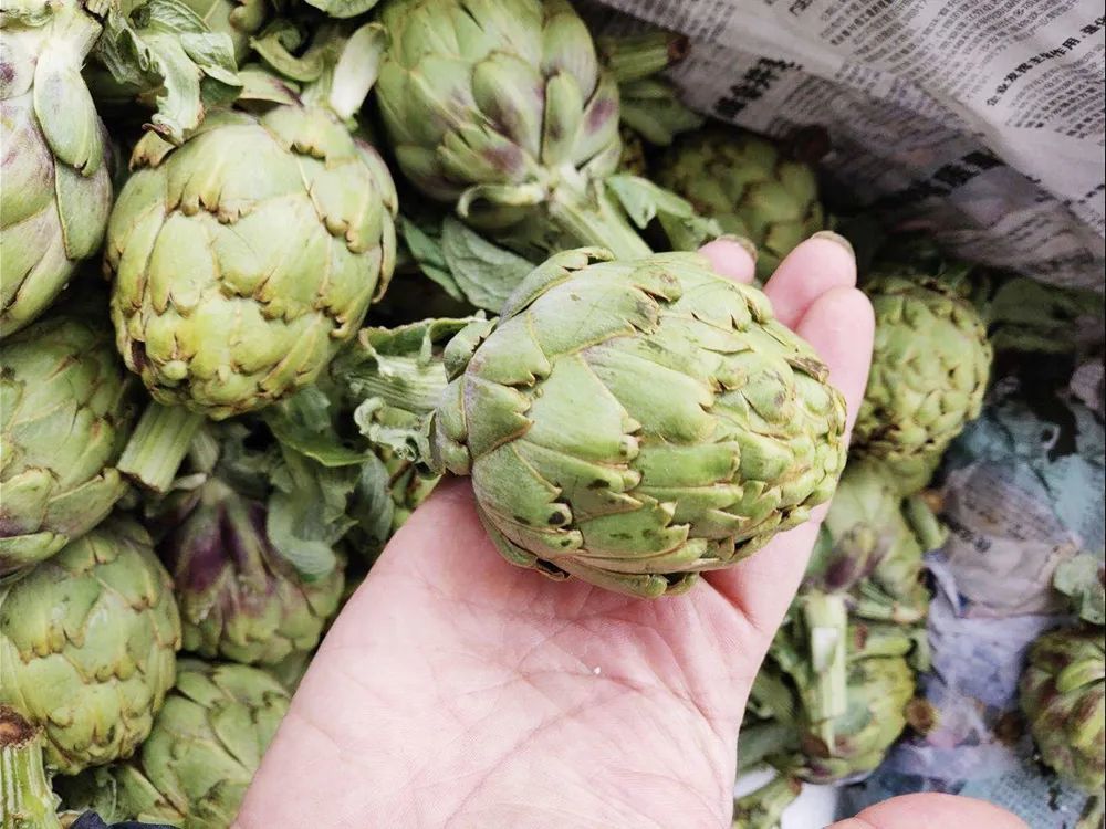 跨洋而来,一跃成为"蔬菜之皇",菜蓟是真有实力,还是靠吹捧?_腾讯新闻