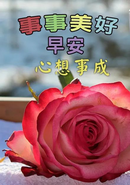 早上好问候语图片2021早上好的句子