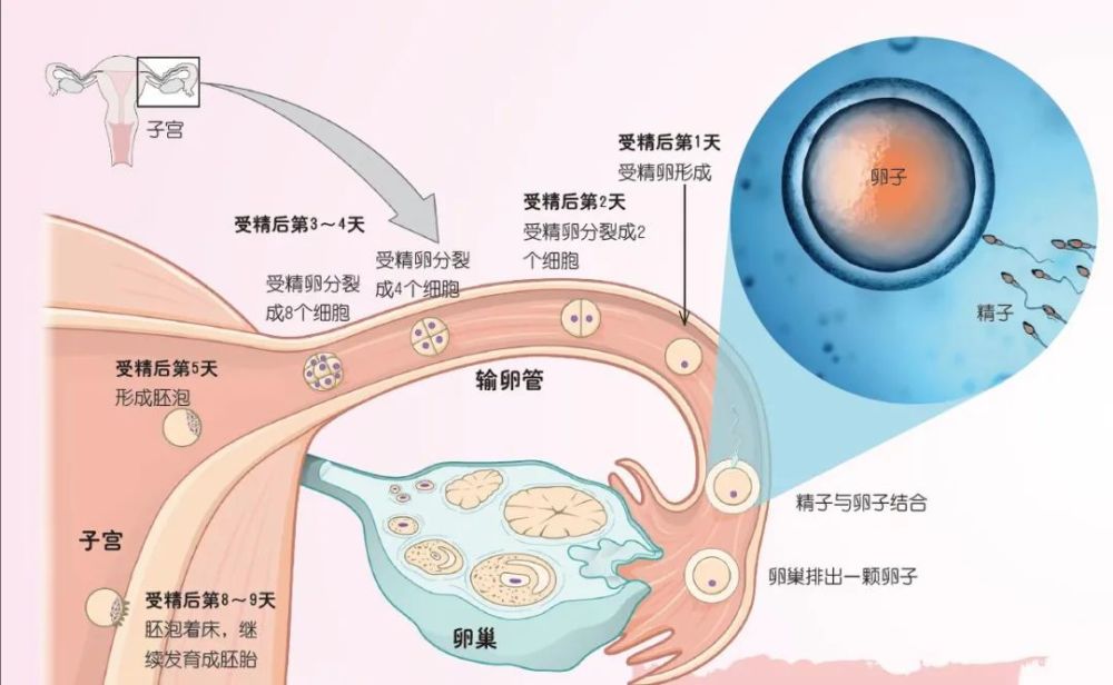 腾讯网