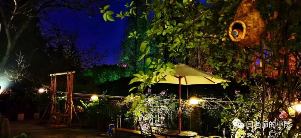 我在闫老师的小院等你