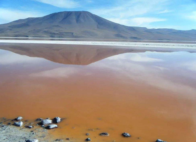 非洲罕见的"血湖",到处可见动物化石,导游:最好不要触碰湖水