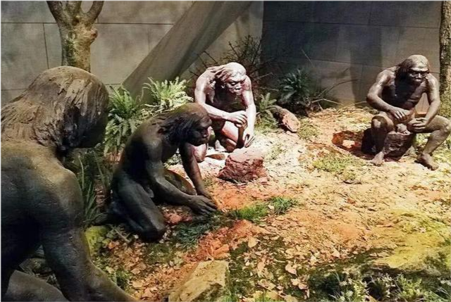 人类生殖行为 人类生殖过程的正确顺序