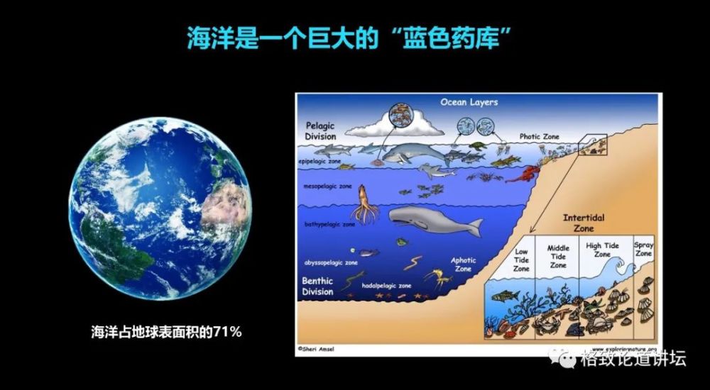 也就是说, 海洋是地球上最大的生态系统,它蕴含的生物资源的丰度是远
