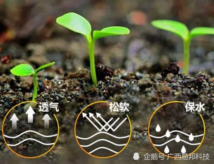 果树|果树追肥怎么追什么时候追好？