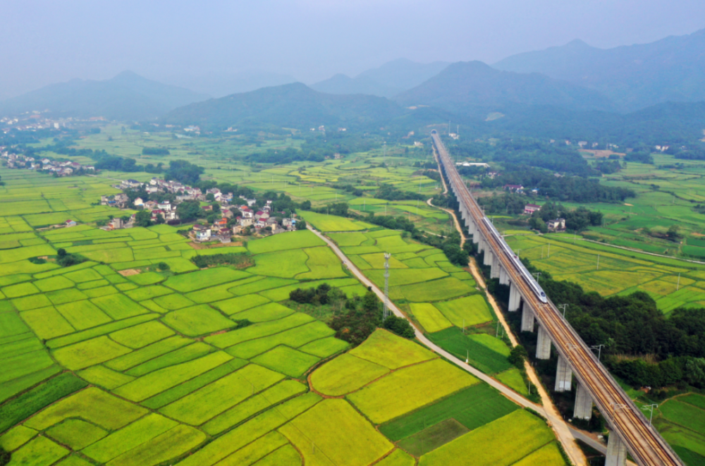 南陵县工山镇第二届大工山杯摄影大赛获奖作品线上展览