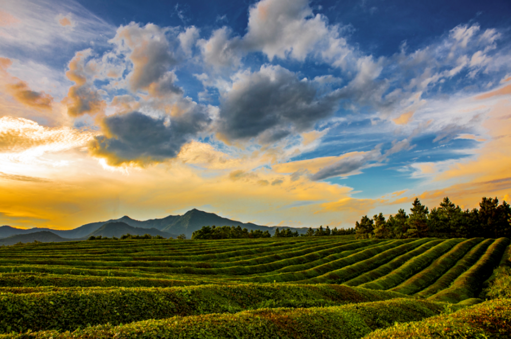 南陵县工山镇第二届大工山杯摄影大赛获奖作品线上展览