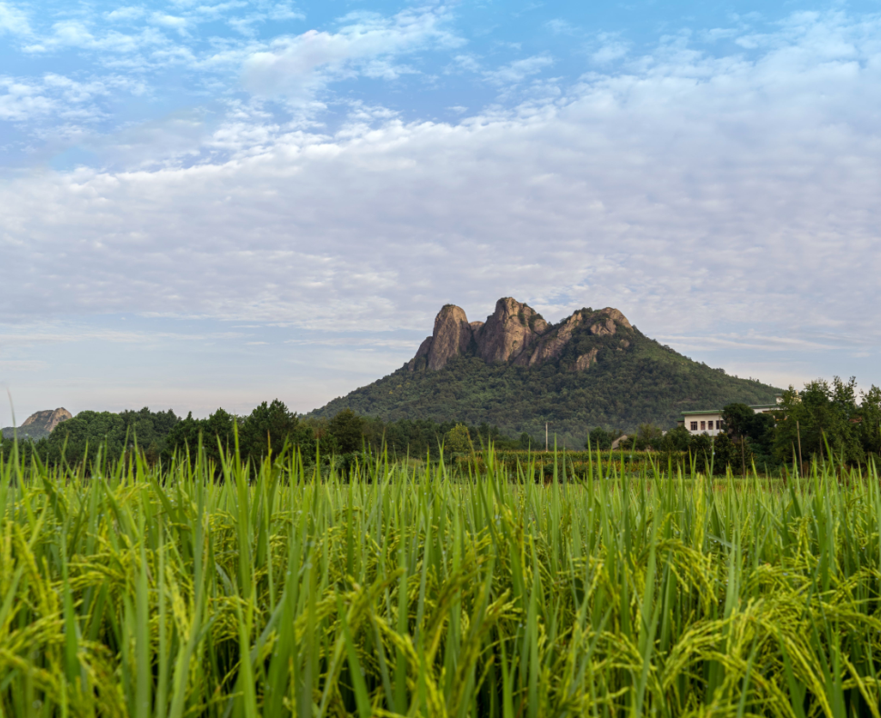 南陵县工山镇第二届大工山杯摄影大赛获奖作品线上展览
