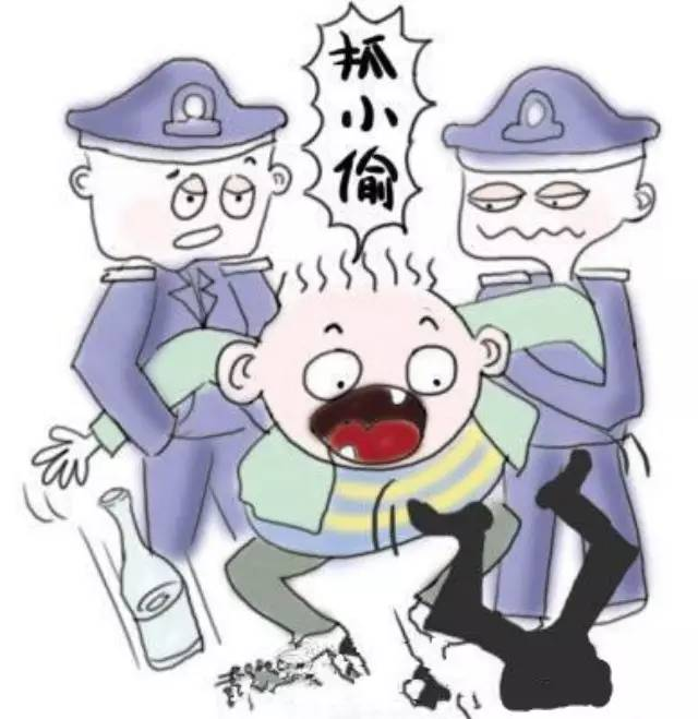 小偷去偷养猪场里的小猪仔被母猪撞翻踩死猪场老板要负责吗