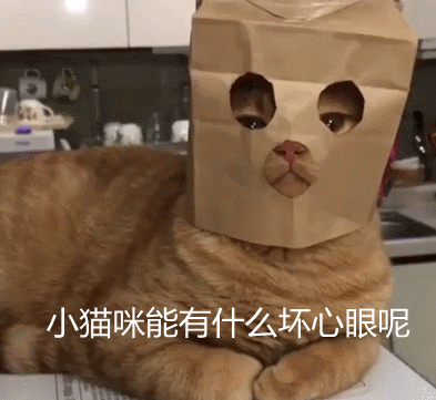 小猫咪能有什么坏心思呢