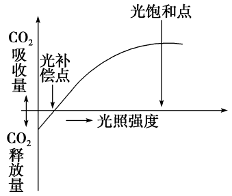 點和飽和點之間時,隨著二氧化碳濃度的提升,將有效加快光合作用水平