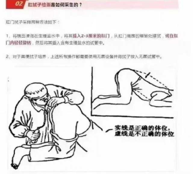 留学生回国有多难:肛拭子检测要被捅2次,每次10秒