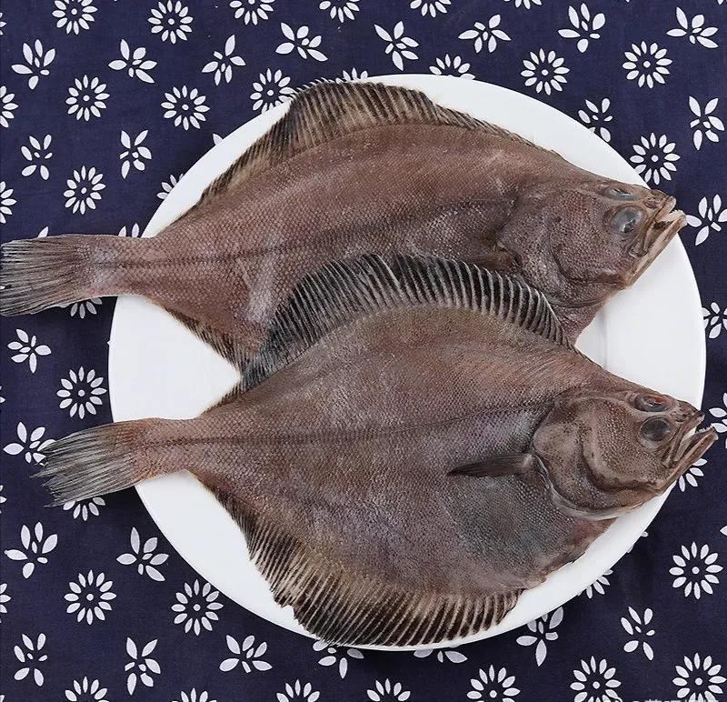 鲽形目鱼类俗称比目鱼 比目鱼的种类很多产量很大 味道也是比较好的 腾讯新闻