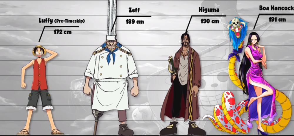 海贼王百名角色数据公示2路飞与女帝算不算最萌身高差