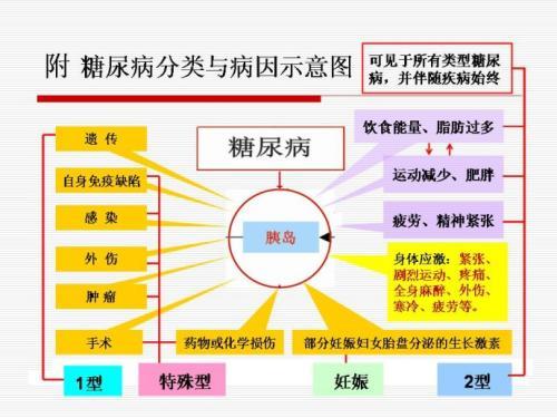 快讯干细胞疗法治疗糖尿病最新研究数据进展