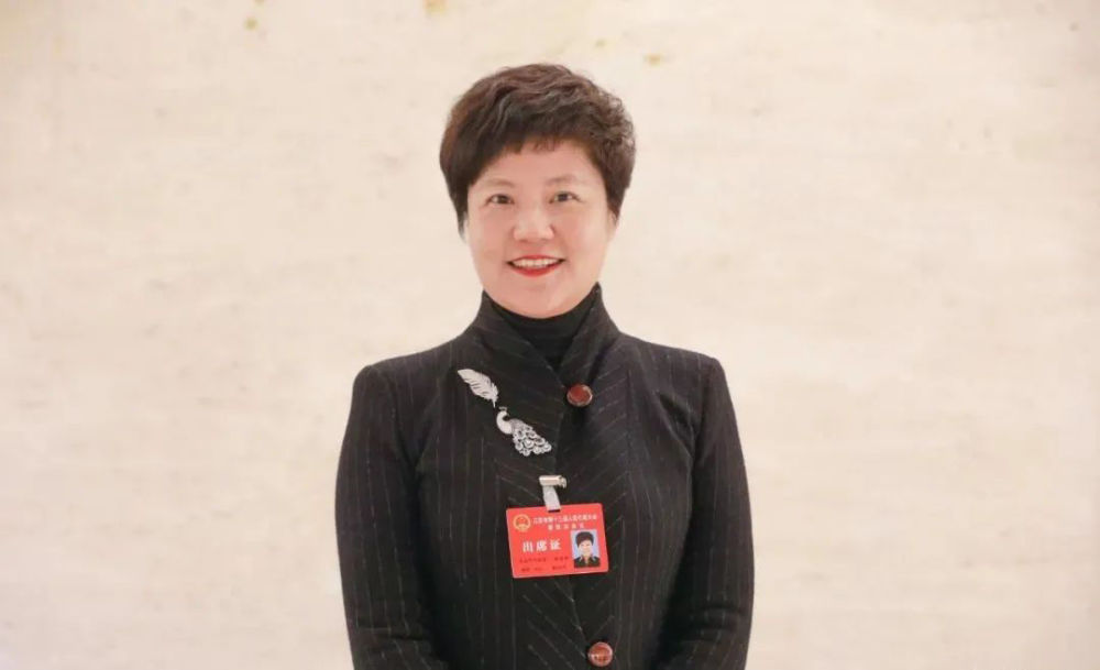 淮安代表团团长,市委书记蔡丽新:走好"特色路" 当好"特长生"