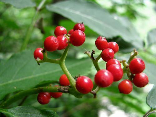 保险排行榜_保险资金_东方财富网(2)