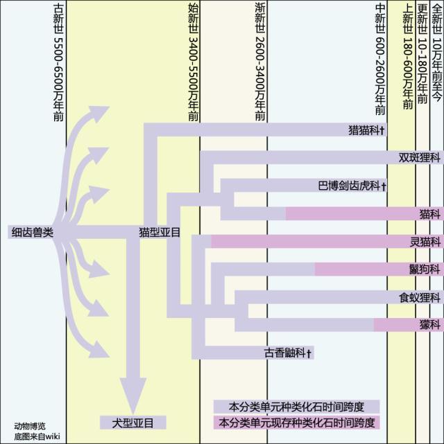 鬣狗明明叫狗长得也像狗为什么不是犬科